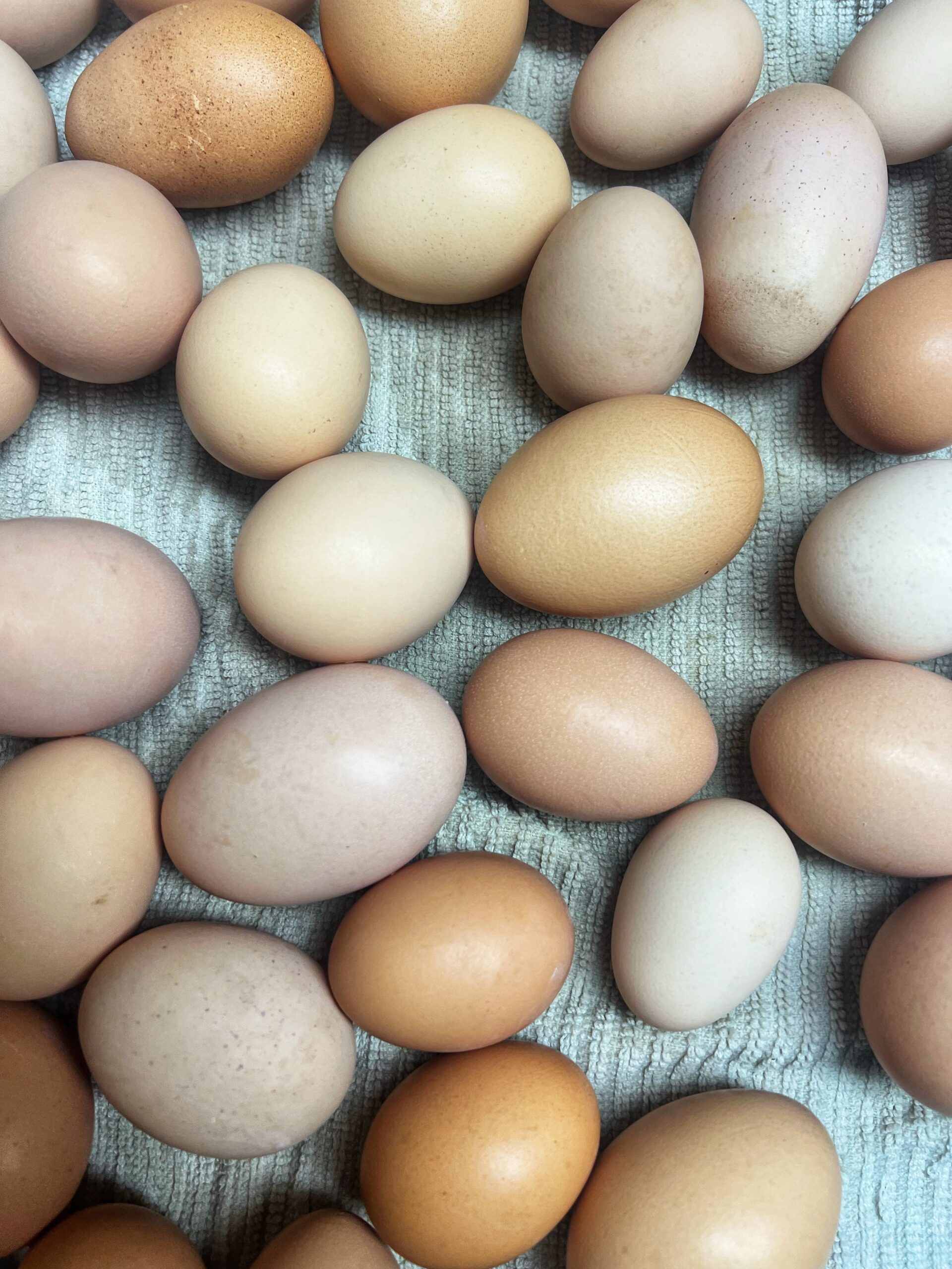 farm fresh eggs mcbees farm mcbees farm fresh eggs